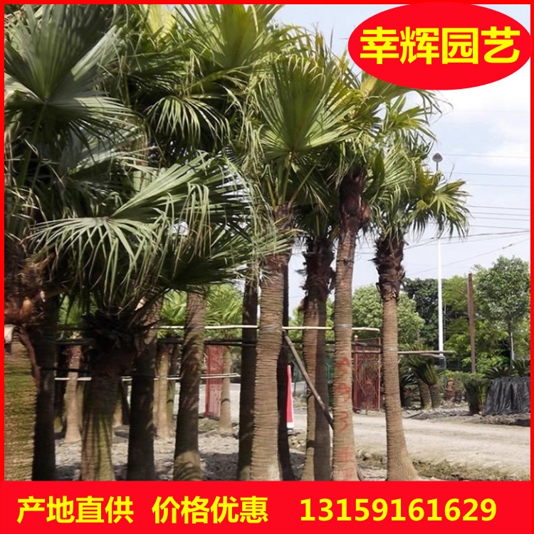 ߗUѿ һ؛Դ ƷNRȫ ߗUѿl r r