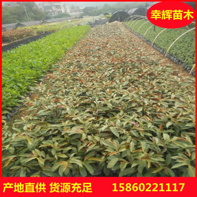 t𸣽tr(ji)G|(zh)(yu)r(ji)gӭӆُ