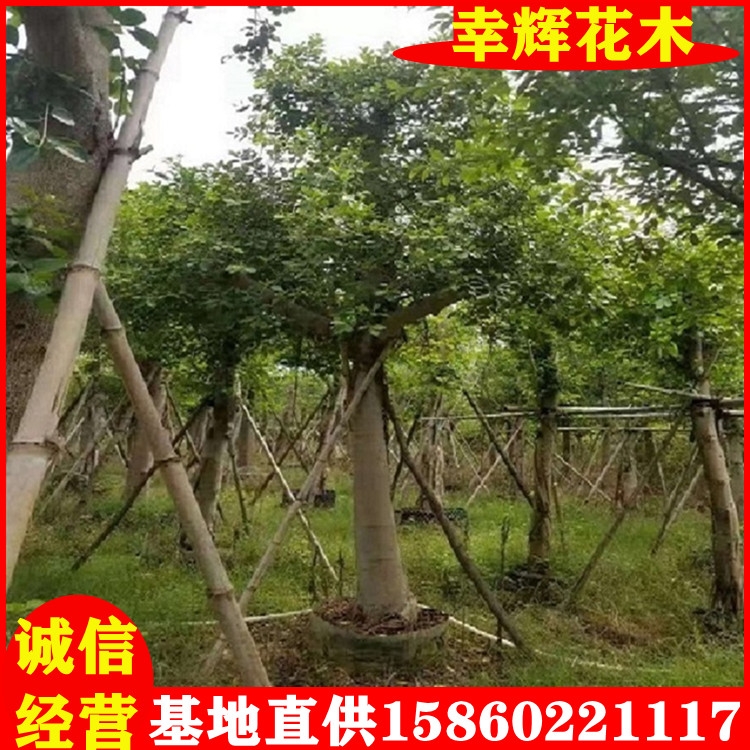 С~žGľ@ֹ̮alһ؛Դ