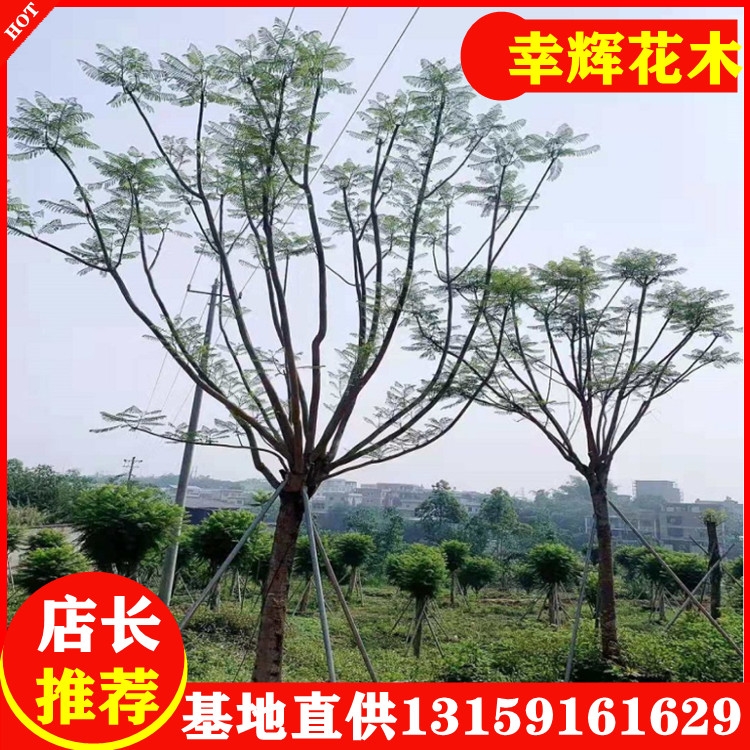 {麘l20ֵ2800
