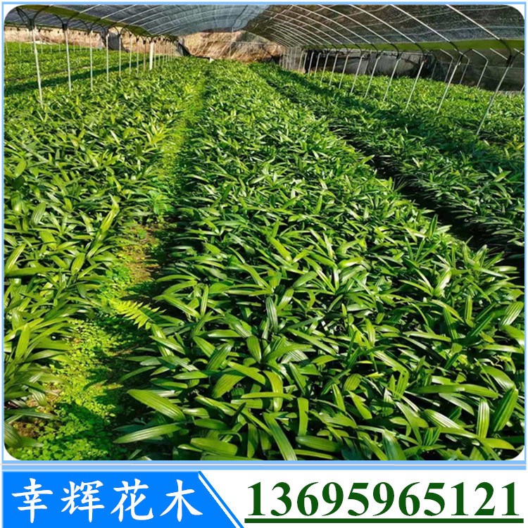 l(f)(x)~ֲ(yng)ֱgӭԃ(xn)r(ji)3000