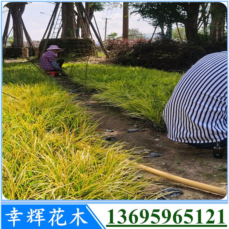 ~ʯl(f)ľ(chng)ֱ~ʯѵֲѿ~ʯƷNҎ(gu)Rȫ