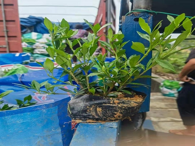 С~dӹ(yng)С^(q)Gl(f)؛Դ