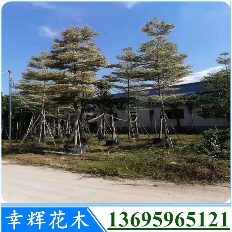 \~ʸԮaֱ\~l؛6-12׏550