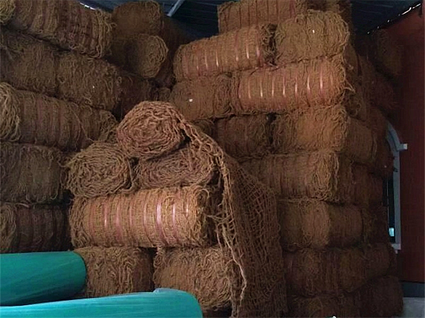 ʡͨ߅²CFWҬWһƽX?