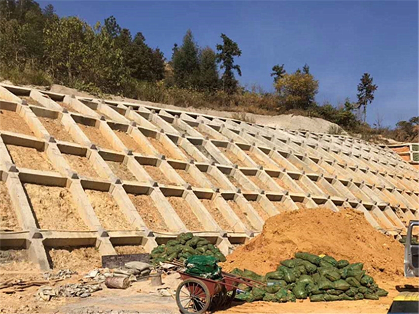 ߶߅¾GÃ(yu)|(zh)(gu)(bio)\W(wng)o(h)ͨЂ}(cng)(k)l(f)؛