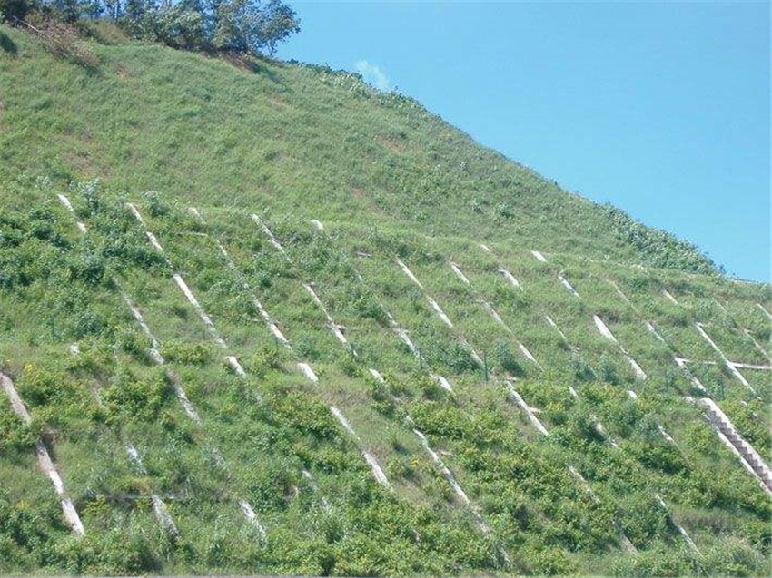 G˾ṩIʩ꠳нӌho¹