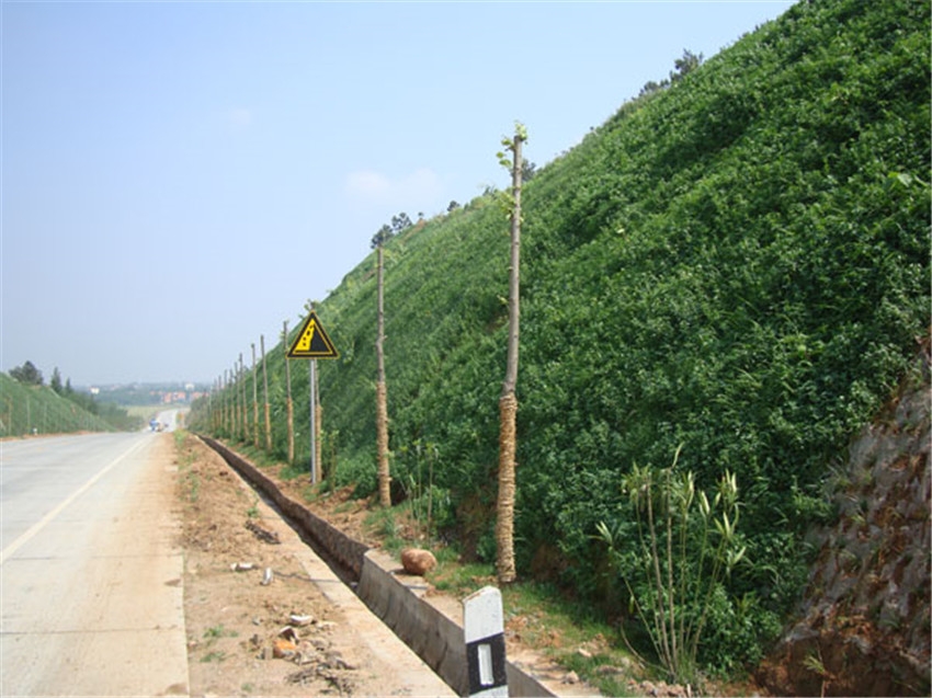 |߅;Gѷ̾GYČhSֱN