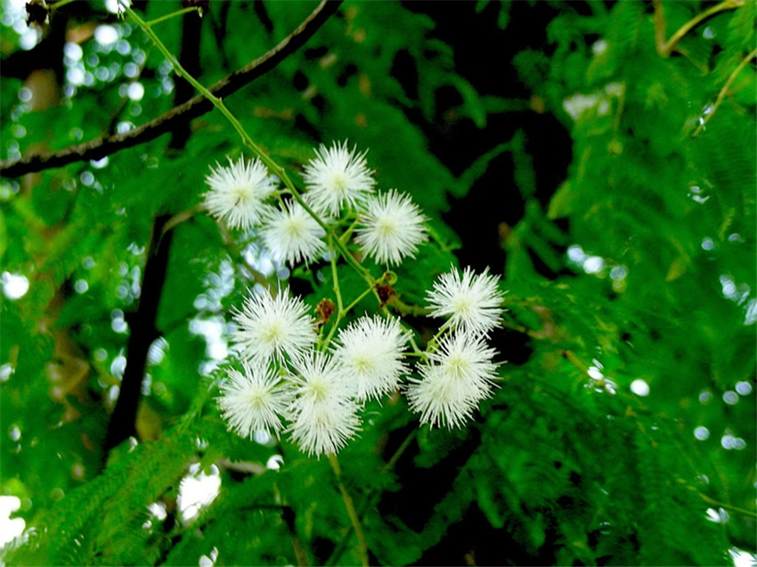 ʡֲo(h)¹yϚgNӏ(f)G