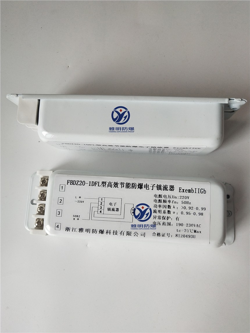 FBDZ20-1DFLɹϵЌ÷ S