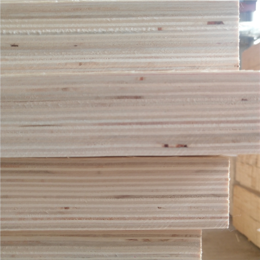 b(j)ľLVLѬ ӰzľSl(f)؛r(ji)