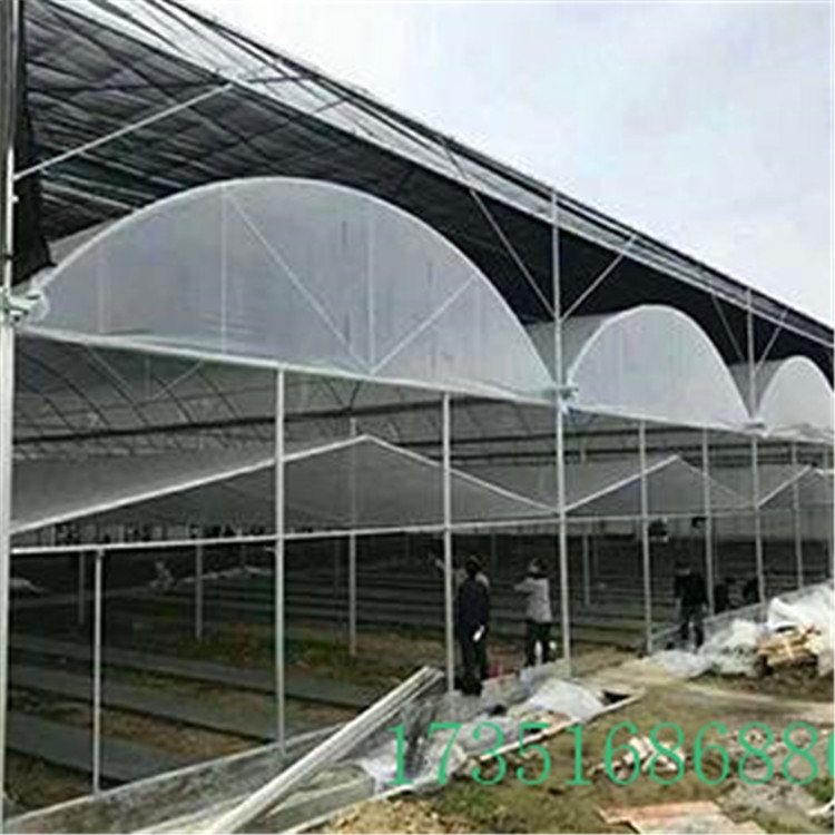 ѷ Ј(chng)(bo)r(ji)  ֶ֧