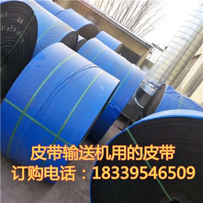 600*5ݔ͎Zʳݔ͙CƤӺz͎