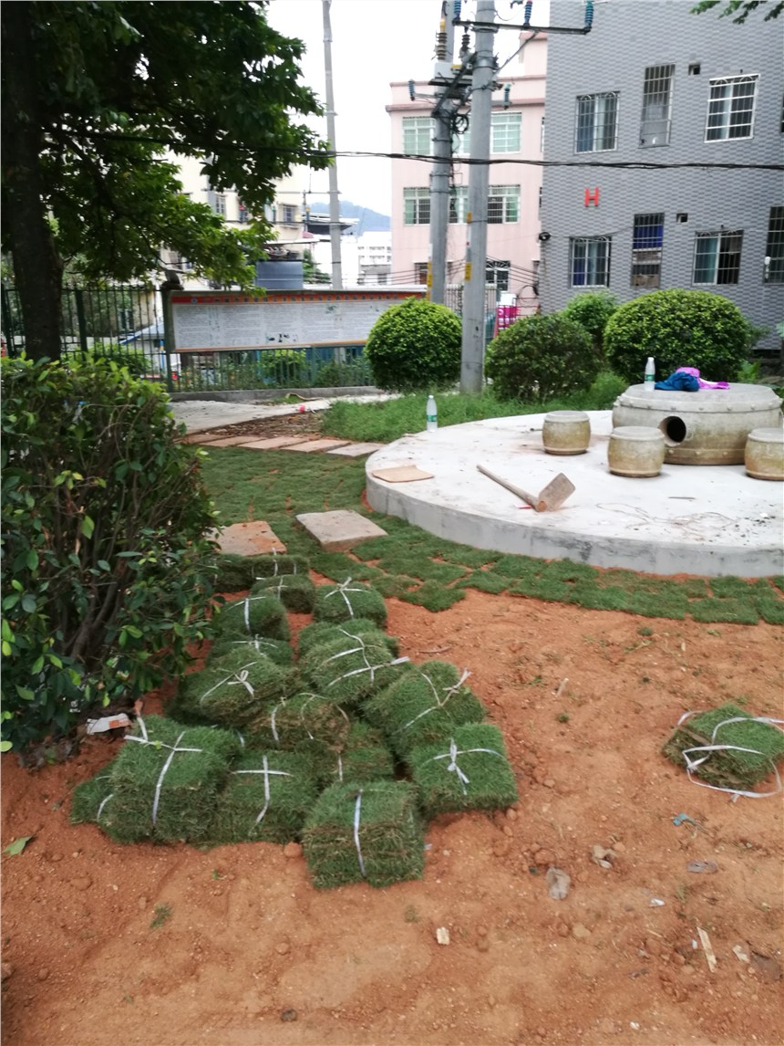 VlNۺͷNƺƤr񌍻ݣ؛T