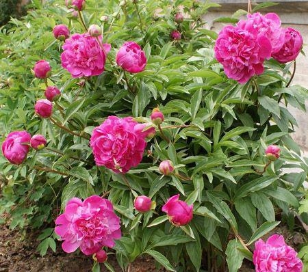 F(xin)JS^pˎ ^pĵЈǰ