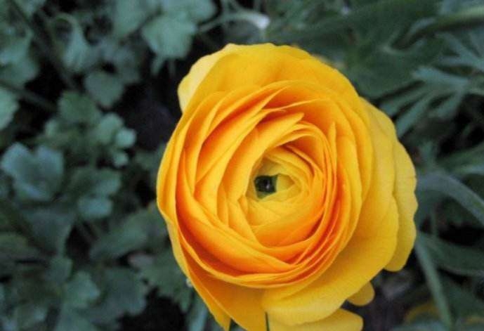 ˎƷN ^pˎƷN ˎ÷Nֲ