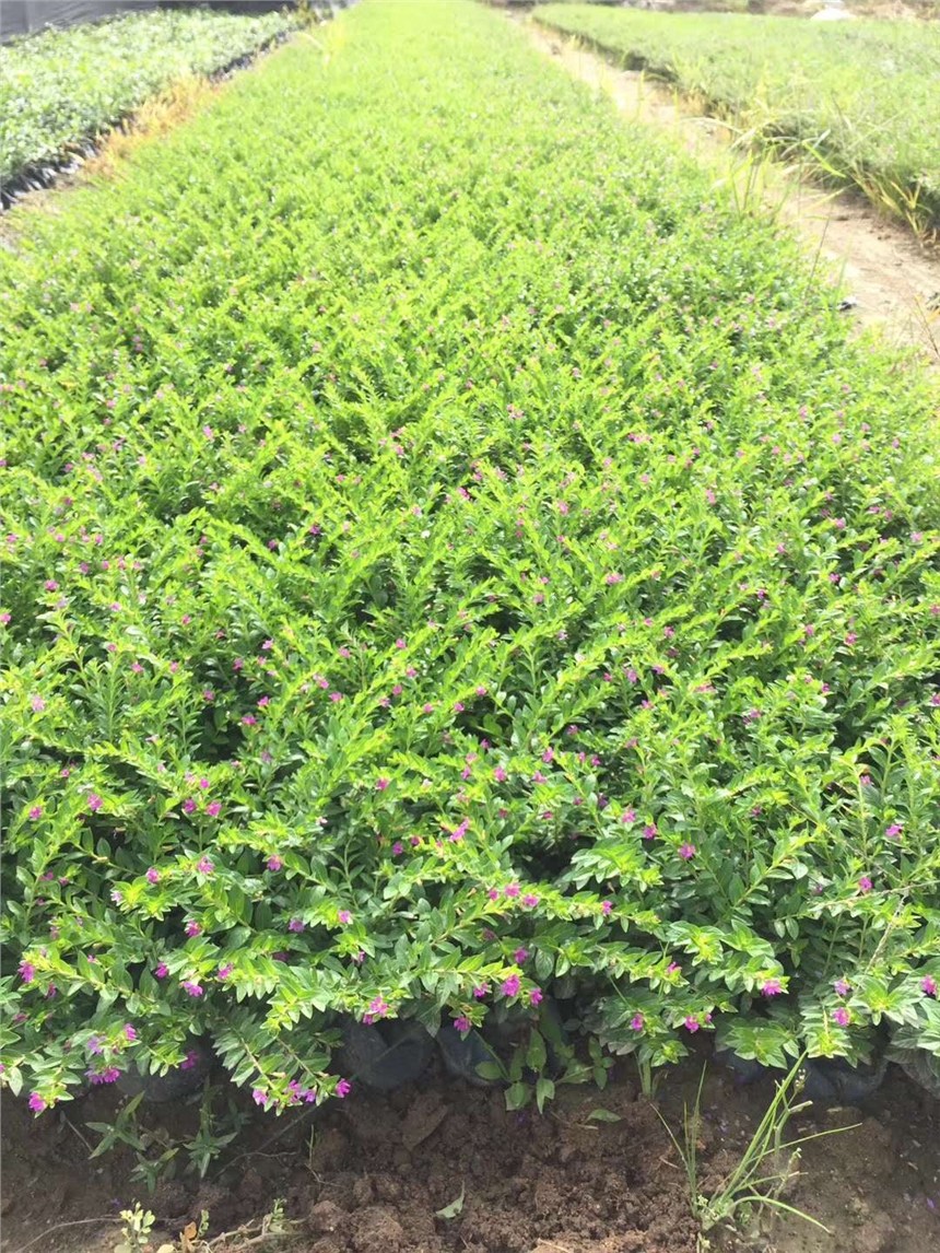 ߴҎ(gu)RȫĝM ؅^(q)u