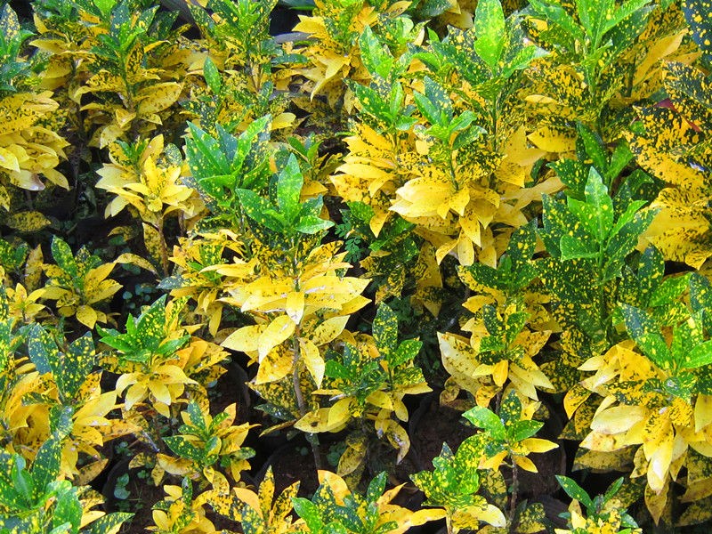 Ϟc ݮ?sh)ۺϞ? title=