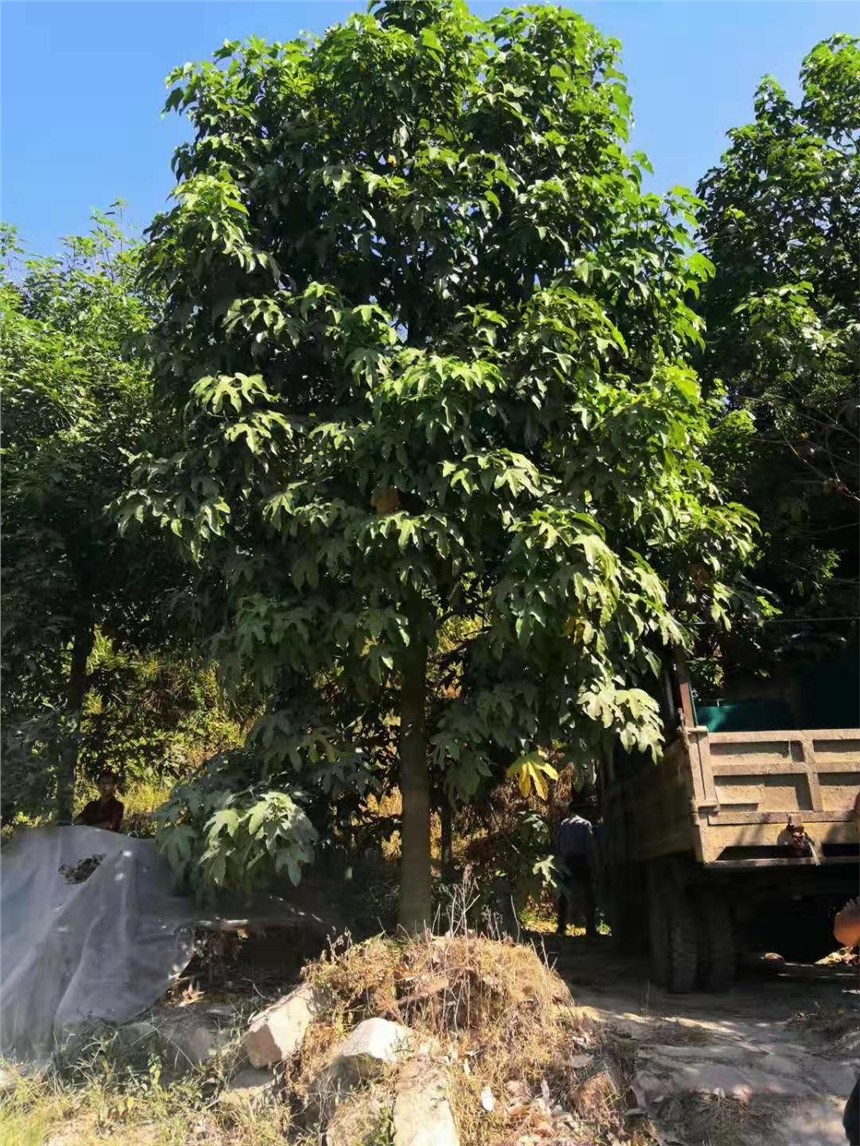 4·ݏV|İ޻ľ|rgӭԃ