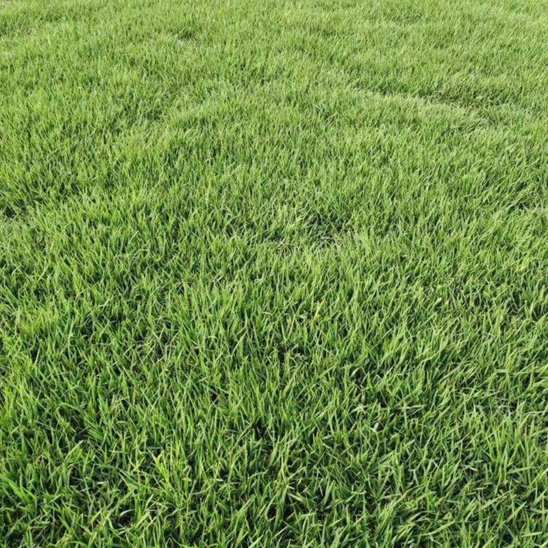 VY|ݷNļఫ~ƺ޼G`̤ѲݷNl