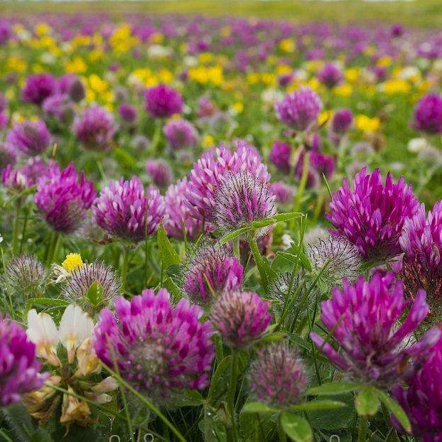 Vόt~Nӈ@־GGʲo¾GݷNl