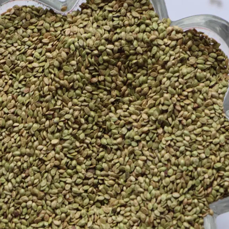 VόكݷNӃr@־Gƺòo¹ݷNl