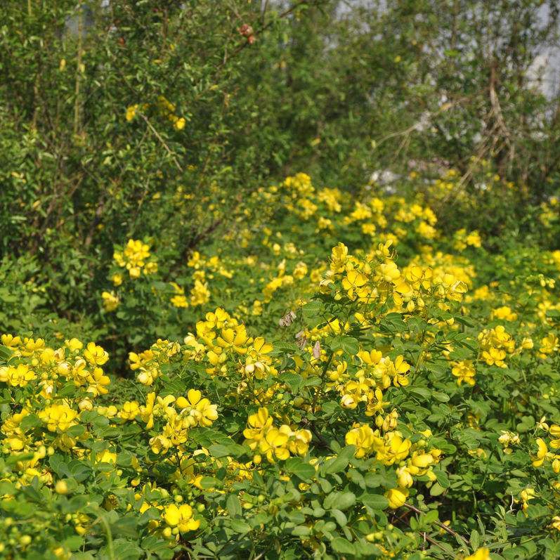 VόQӷNӃro߅¾GùľNl