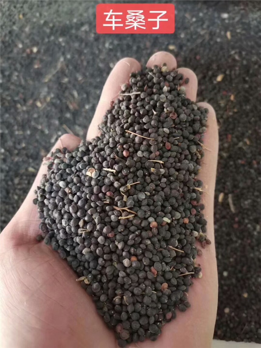 V܇ɣӷNӃro¹߅¾GľNl