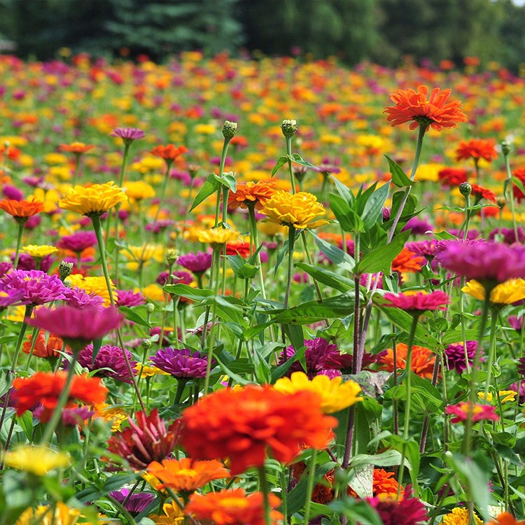 VόղݷNӃr 컨ܻNðվճнӸN߅¾G