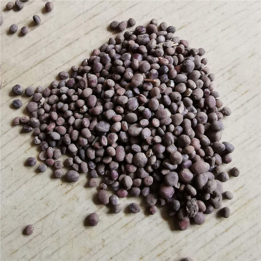 VPɻNӃr컨ܻNlнӸN߅¾G