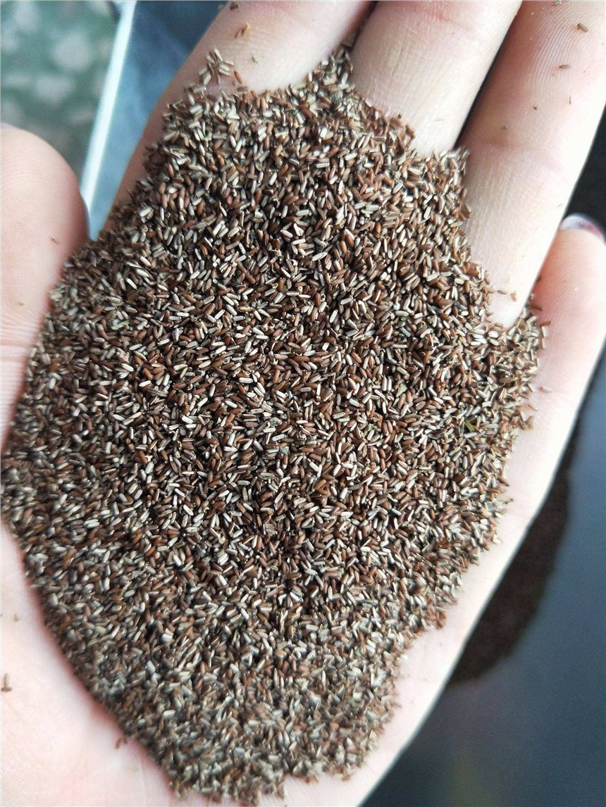 VόR޲ݷNӃrнӴ͟ͺܻN߅¾Ġl