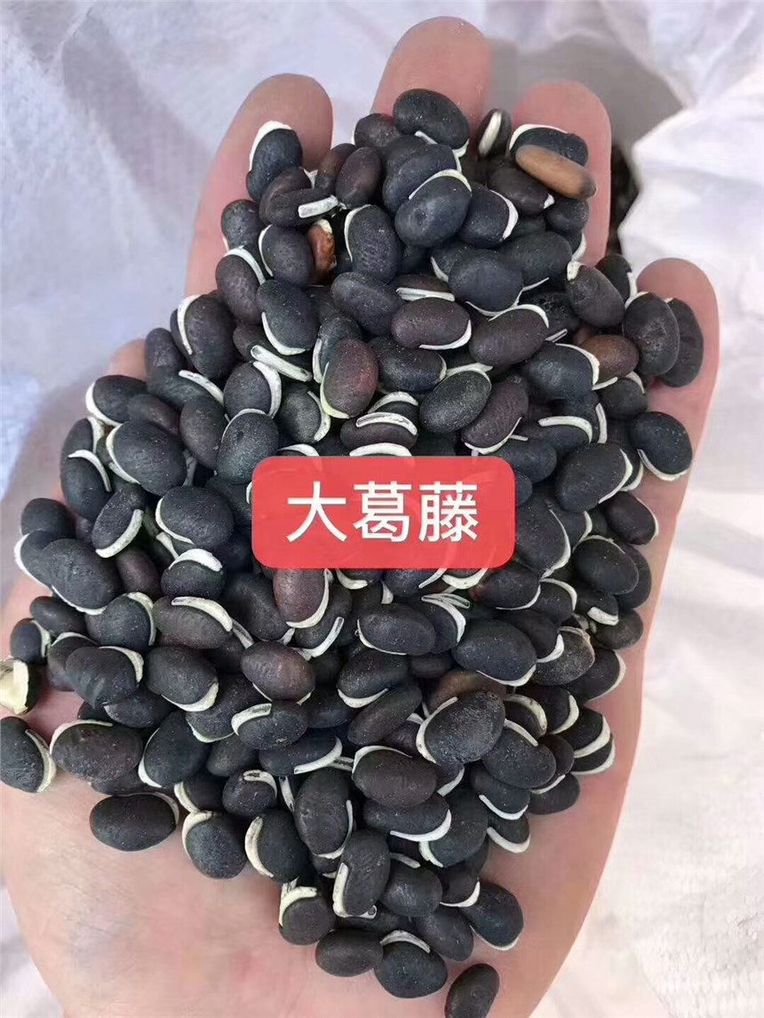 VόٷNӃrнӵVɽޏo·N߅¾Gٱֲɳ얹l