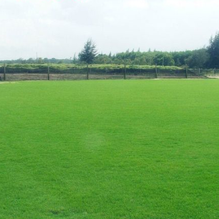 XݷNӃrƺѲݷNнӵVɽޏ͸ٹ·Lվ߅¾GWֲ