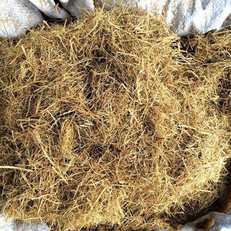 ϺڲwSrнӸN߅¾Gֲֲ