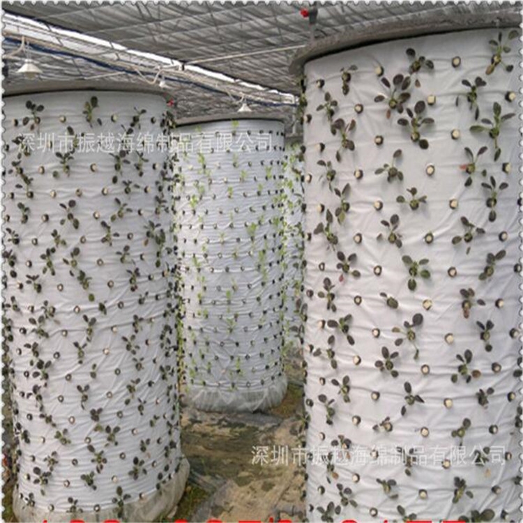 (yng)o纣d Sl(f) ă(yu)