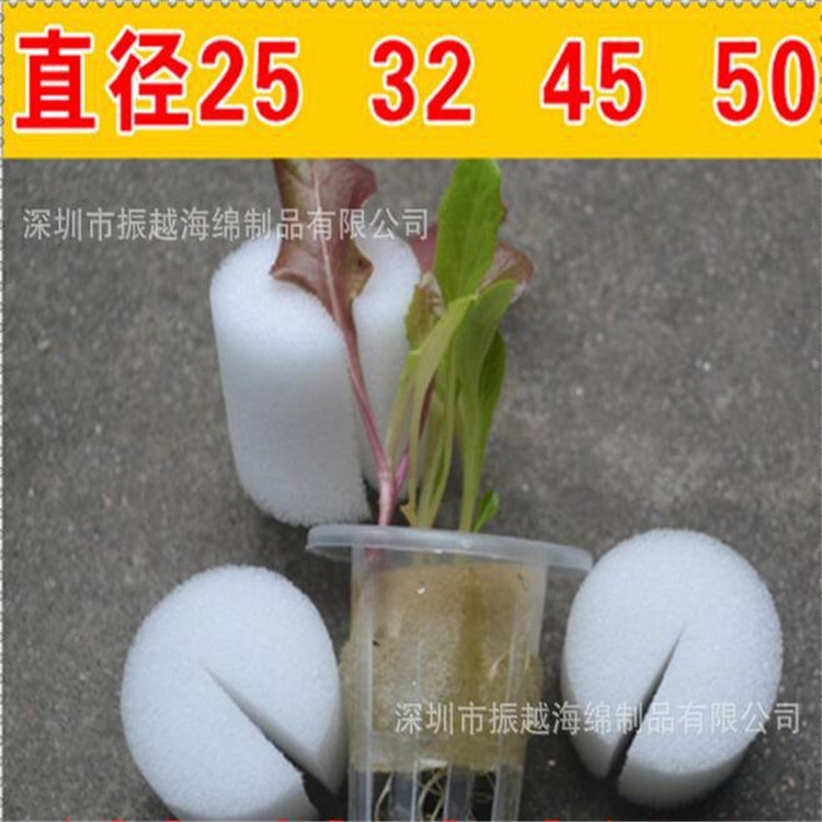 |(yng) ˮඨֲd Sl(f)