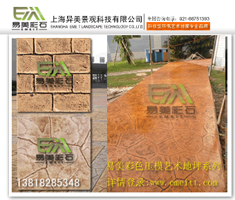 ƺ֮ɹxYMTT˷|x|݉ƺ