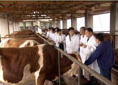 όţB(yng)ֳ/ţB(yng)ֳԒ