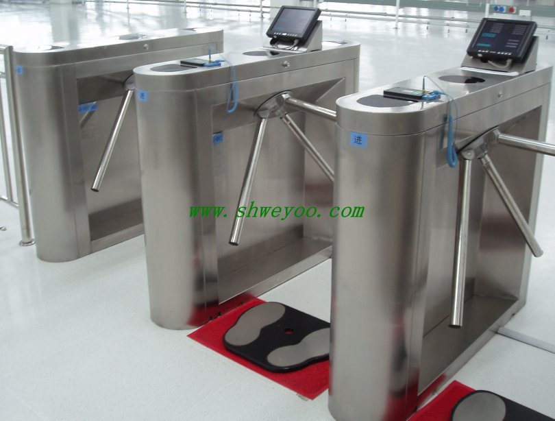 Ϻ݁l/Ϻ݁lSo/Ϻ݁lb{ԇ