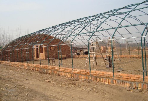 䓹B(yng)ֳ 䓹ܴC(j) (f)