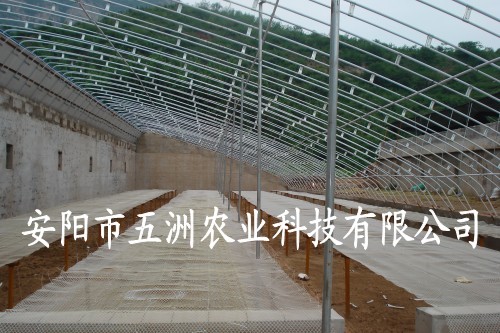 䓹ܜҴ 䓹ܜҴǼ ǼܙC