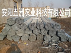 䓹B(yng)ֳ o߲˴Ǽ \