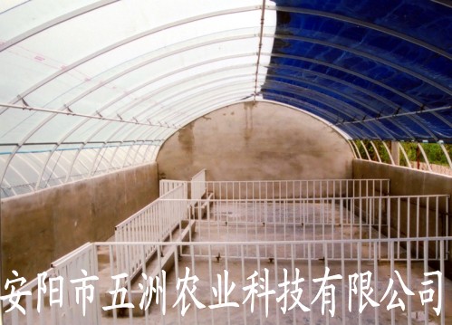 䓹ܴS Bֳ䓹ܴ |䓹ܽ