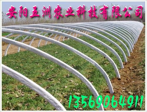 䓹ܴ Ҵ ߲˴ ܴ Bֳ